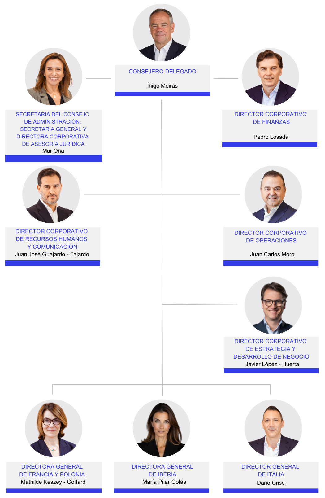 Infografía representativa del comité de dirección de Logista.